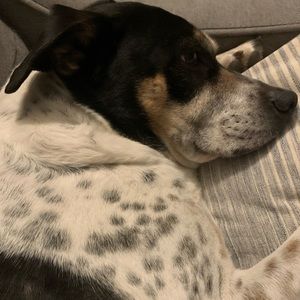 Meet your Posher, Elijah